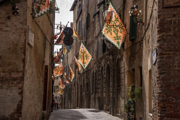 Contrade flag of the Selva-Rhino city district hanging in a street in downtown Siena, Italy, Europe