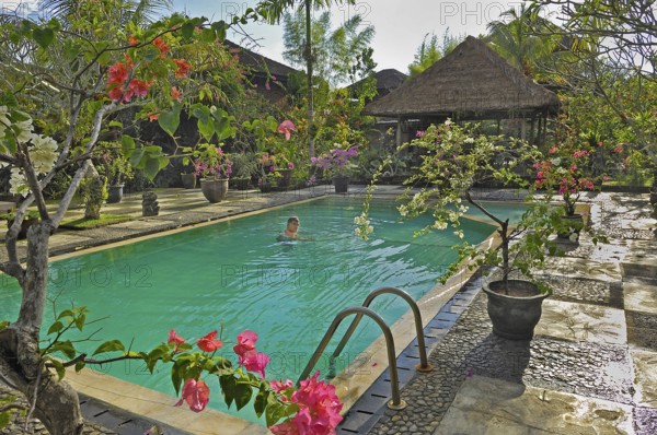 Bougainvillea (Bougainvillae), swimmer in the pool of the Ubud-Inn, Ubud, Bali, Indonesia, Asia