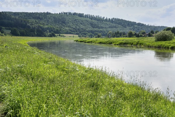 Weser River near Gewissenruh, Wesertal, Oberweser, Weserbergland, Hesse, Germany, Europe