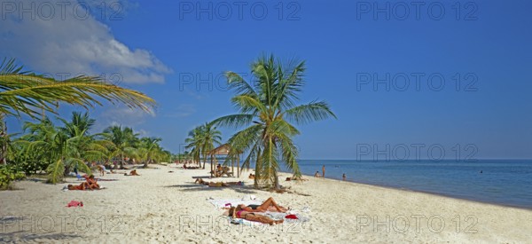 Beach, Beach holidaymakers sunbathing, Key West, Florida, USA, North America