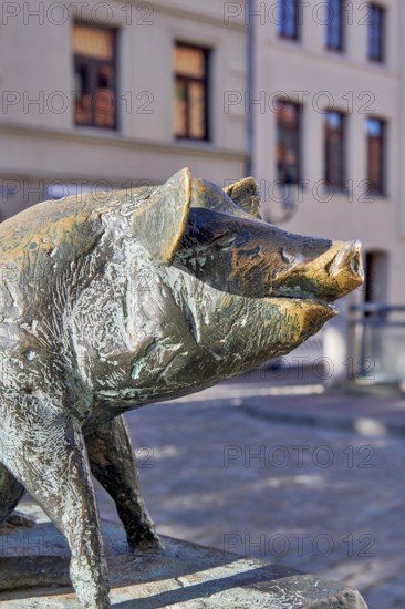 Bronze sculpture of a wild boar on a plinth by a road, pig bridge with a group of four pigs on the
