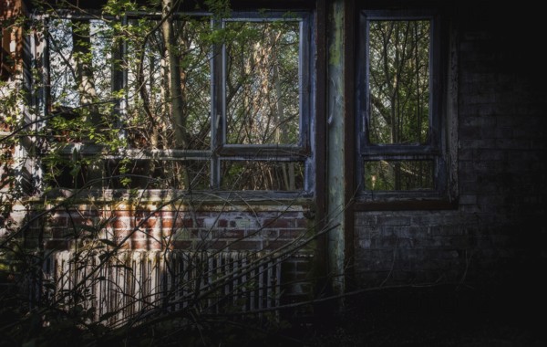 Window of an abandoned house with vegetation and shadow, Gerresheimer Germany, Lost Place,