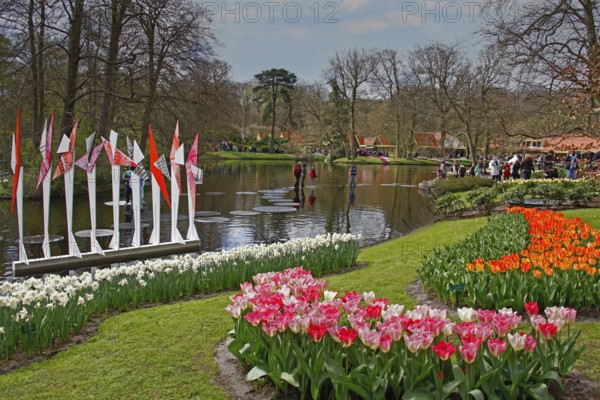 Tulip blossom, flower bed tulips, daffodils, lake, Wilhelmina Pavilion, spring, spring flower-bed,