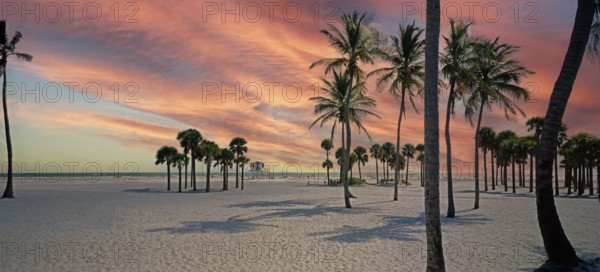 Beach at Crandon Park, palm trees, Miami, Florida, USA, North America