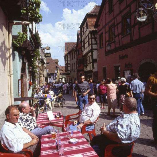 A bicycle tour through the Alsace, here on 11.05.1994 near Kayserberg, on a vineyard route is not