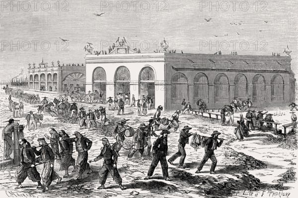 The supply of food for the troops, Second Franco-Mexican War, 1863