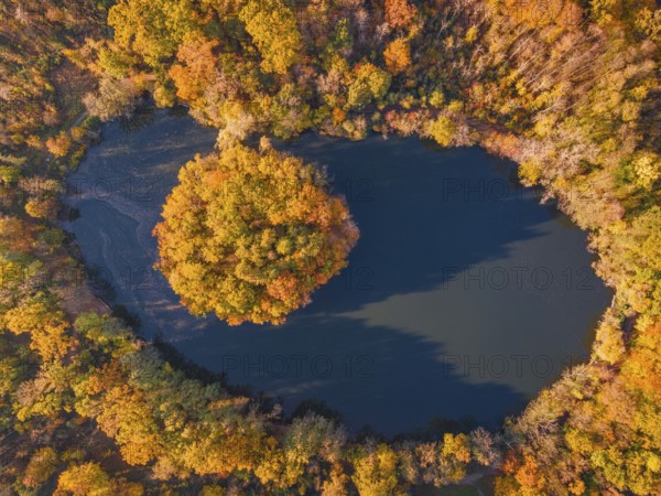 The leaves on the trees around the Gänseweiher pond near Maintal-Bischofsheim, close to Frankfurt