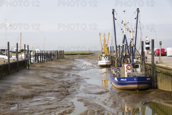 Shrimp trawlers moored in the sieve harbour on the Wadden Sea, Wremen, Cuxhaven, Lower Saxony