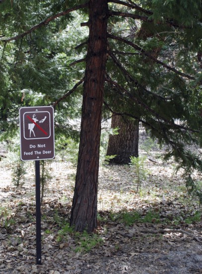 Deer sign, World Heritage Site 1984, Yosemite National park, California, USA United States of
