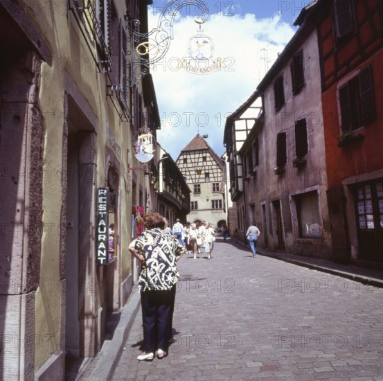 A bicycle tour through the Alsace, here on 11.05.1994 near Kayserberg, on a vineyard route is not