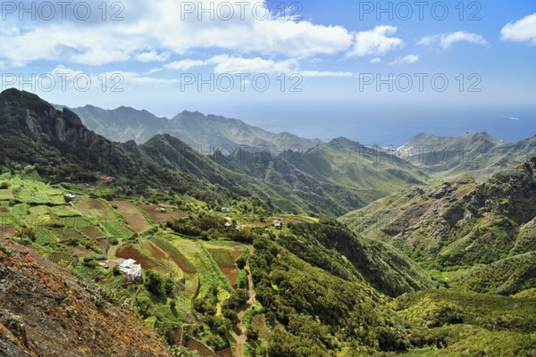View from the Mirador Pico del Inglés, Las Montanas de Anaga, Anaga Mountains, Tenerife, Canary