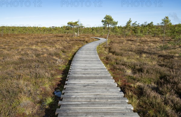 Plank path through the Black Moor, blue sky, near Fladungen, Bavarian Rhön Biosphere Reserve,