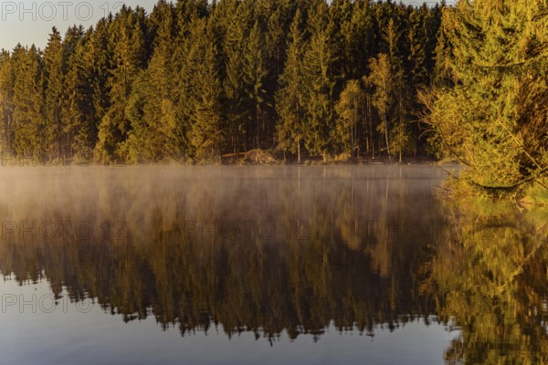 Autumnal morning atmosphere at Schmutter Weiher with fog near Lechbruck, Halblech and Roßhaupten in