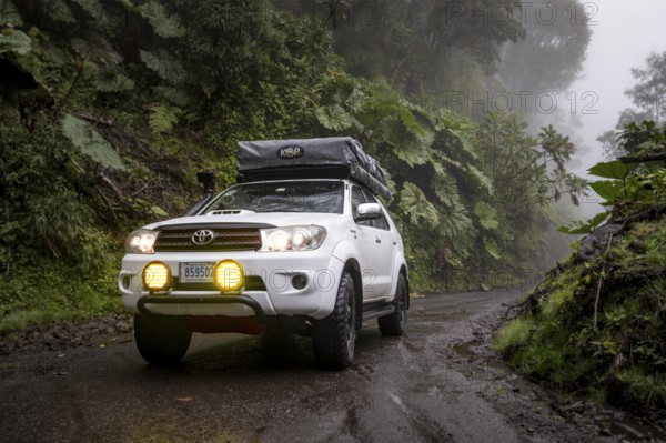 Off-road vehicle in the fog in the rain, with fog lights on a narrow road, dense vegetation on a