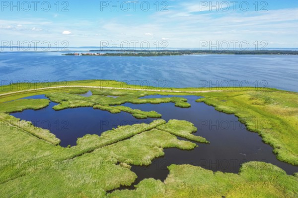 Aerial view, drone photo: lagoons and reeds on the island Riether Werder, Rieth, in the background