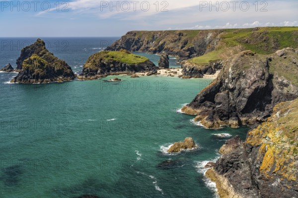 The coast at Kynance Cove, Cornwall, England, Great Britain