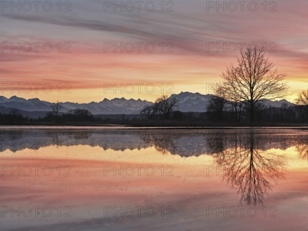Pilatus reflected in the flooded nature reserve in the evening light, Reussspitz, Hünenberg, Canton