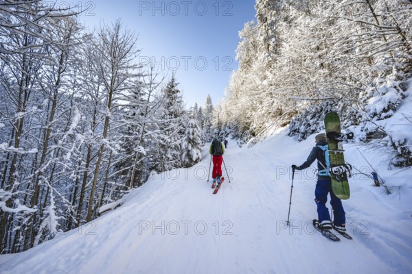 Ski tourers and snowshoe hikers in a snowy winter forest, ascent to the Teufelstättkopf,