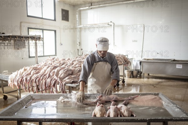 Production of salted ducks in the Nan Jing Ying Tao Yo Co. Ltd. factory, for consumption in
