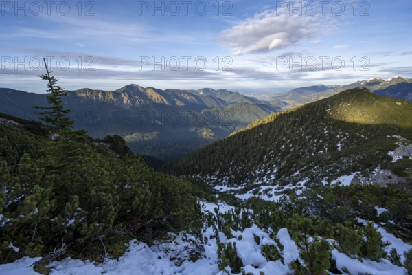 Forest-covered mountain landscape of the Ammergau Alps, hike to Kramerspitz, in autumn, Ammergau