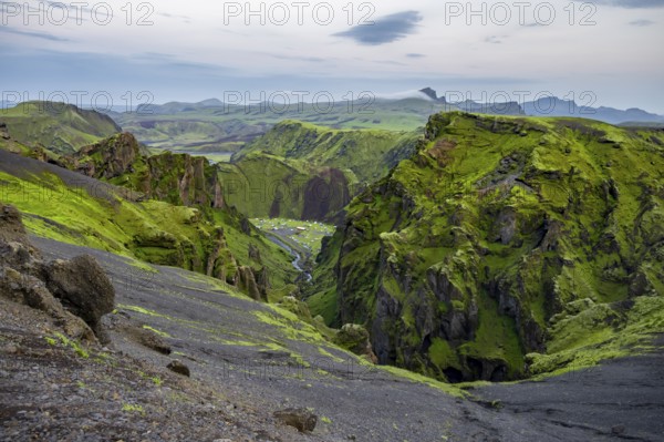 Canyon, Moss-covered volcanic mountain landscape, Pakgil, Iceland, Europe