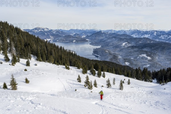 Ski tourers climbing Simetsberg, view of Walchensee, Estergebirge, Bavarian Prealps, Bavaria