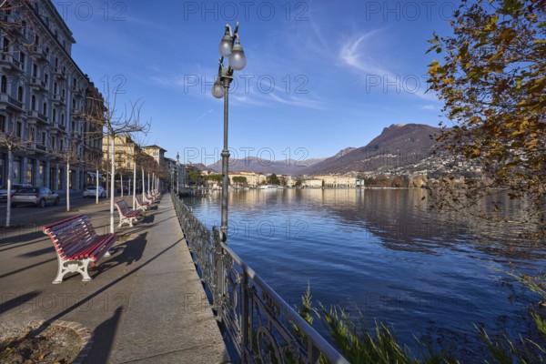 Lakeside promenade, benches, city trees, general development, lantern, blue sky, cirrus clouds,