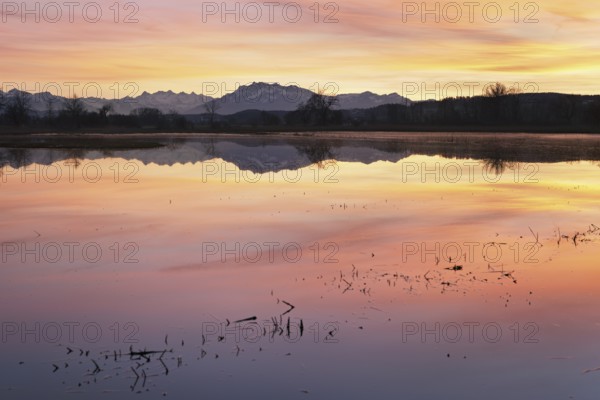 Pilatus reflected in the flooded nature reserve in the evening light, Reussspitz, Hünenberg, Canton