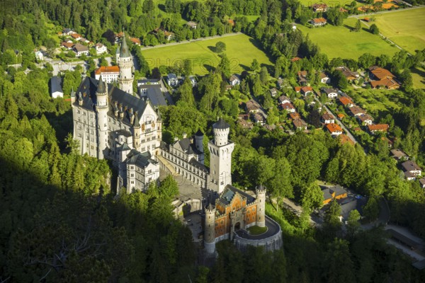 Neuschwanstein Castle, Schwangau, Ostallgaeu, Allgaeu, Swabia, Bavaria, Germany, Europe