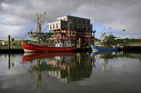 Fishing boats in the harbour of Tammensiel, Pellworm Island, Schleswig-Holstein Wadden Sea National