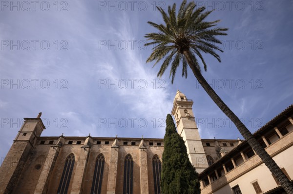 View from the cloister to the basilica of Sant Francesc Monastery, San Francisco, Palma de Majorca,