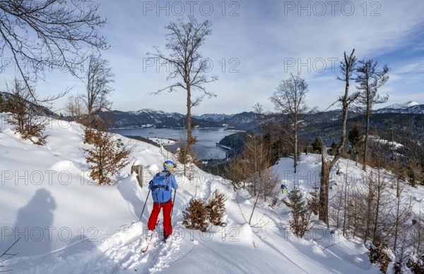 Skiers skiing down the Simetsberg, view of Walchensee and mountain panorama, Estergebirge, Bavarian