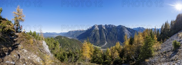 Group of mountaineers on a hiking trail through autumnal mountain forest, yellow-coloured larches,