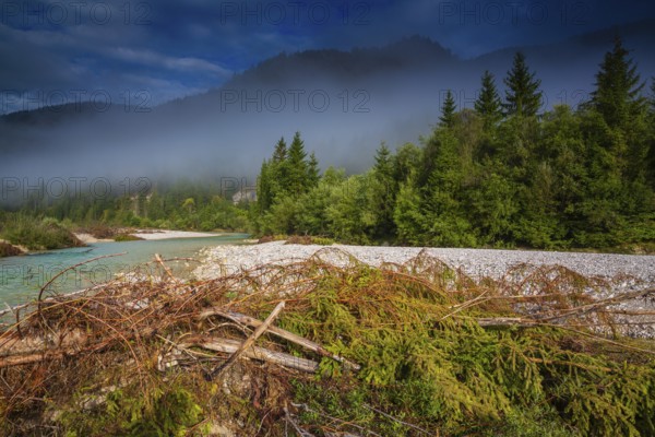Isar valley nature conservancy area. The wild Isar river flows through its gravel bed past