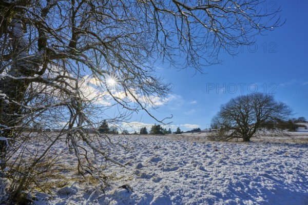 Sun shining through the bare branches over a snow-covered landscape, winter, Oberelsbach, Lange