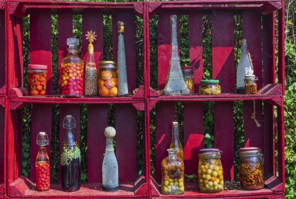 A red wooden shelf with jars and bottles full of pickled fruits and vegetables at the Hortulus
