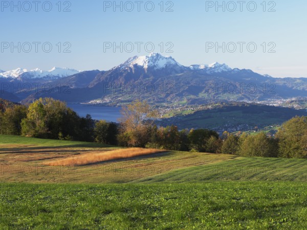 View from Zugerberg to Lake Lucerne, Pilatus in the background, Canton Zug, Switzerland, Europe