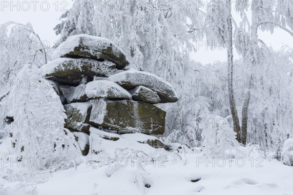 Rock formation with hoarfrost and snow on the summit of the Czorneboh, Lusatian Mountains, Upper