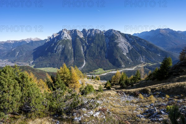 Autumnal mountain forest, yellow-coloured larches, ascent to the Große Arnspitze, view of mountain