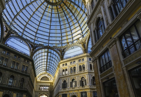 Galleria Umberto I, Naples, Campania, Italy, Europe