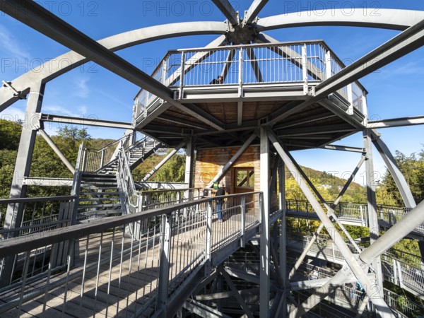 Baumwipfelpfad, Treetop walkway through a forest in autumn, Bad Harzburg, Harz mountain range,