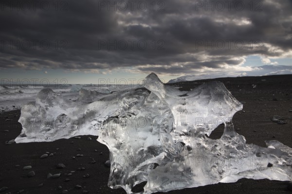 Little icebergs and crushed ice on the black beach at Joekulsarlon glacial lake