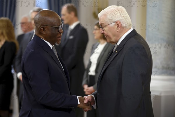 M'Baimba Lamin Baryoh Sierra Leone is received by Frank-Walter Steinmeier (President of the Federal