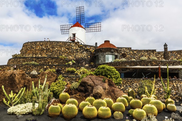 2016, Guatiza, Lanzarote, Jardin de Cactus by Cesar Manrique, ESP, Spain, Canary Islands, Canary