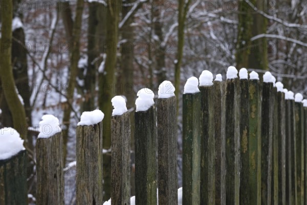 Wooden fence with snow cap, winter, Germany, Europe