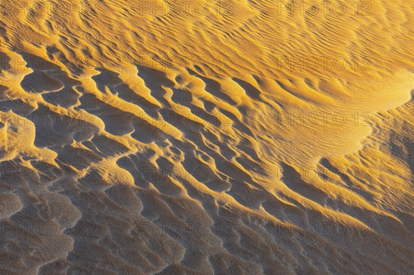 Sand structure formed by the wind, in the Rub al Khali desert, Dhofar province, Arabian Peninsula,