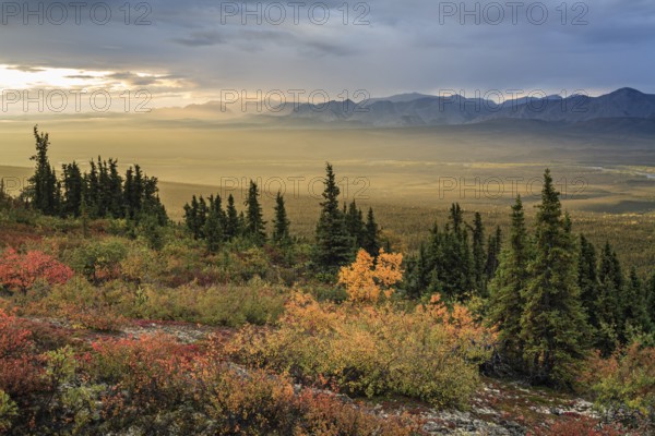 Morning light, cloudy mood, fog, autumnal tundra, autumn colours, wilderness, mountain landscape,