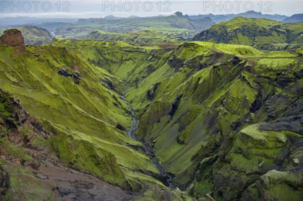 Canyon, moss-covered volcanic mountain landscape, Pakgil, Iceland, Europe