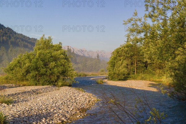 Isar valley nature conservancy area. The wild Isar river flows through its gravel bed past