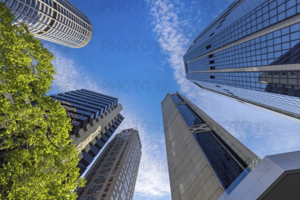 Australia scenic Sydney downtown skyline panorama and financial business center near Opera House.